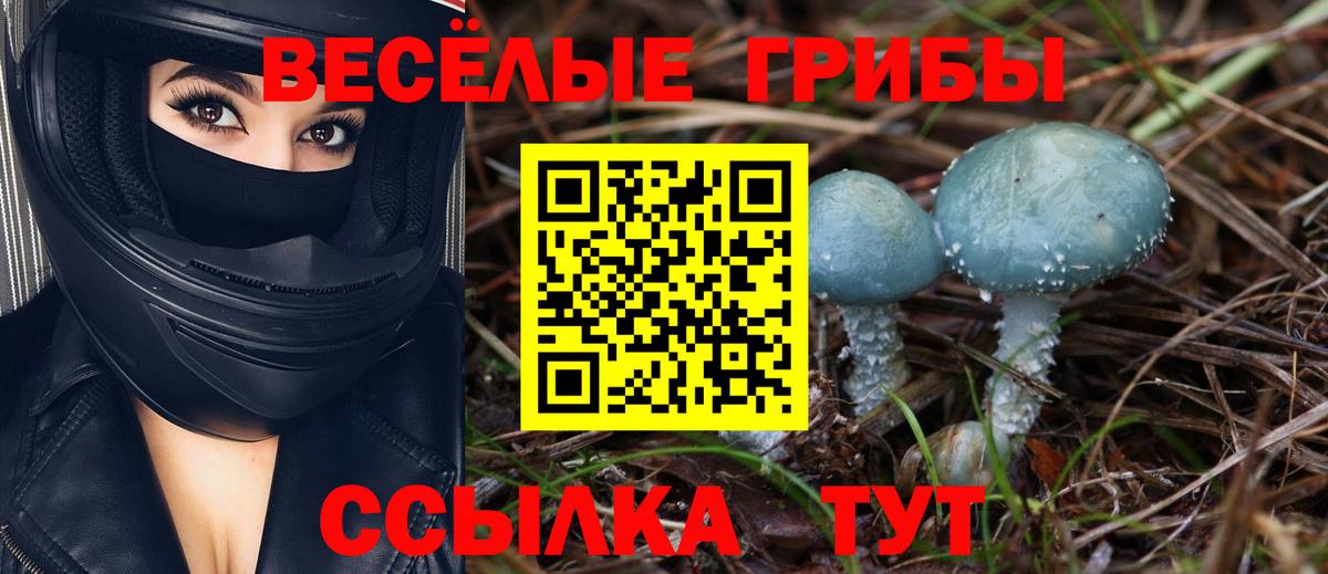 хочу наркоту  Вход с VPN  Елец  Галлюциногенные грибы Psilocybine cubensis 