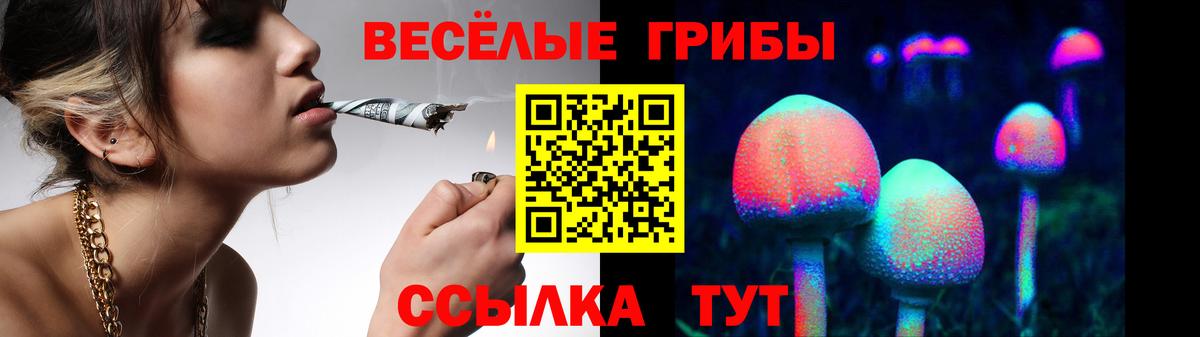 Псилоцибиновые грибы ЛСД Елец